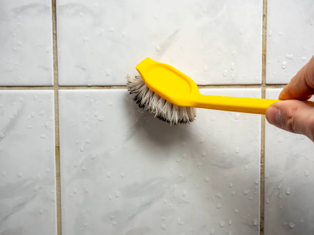 Professional Mold Removal in Bay Shore, NY
