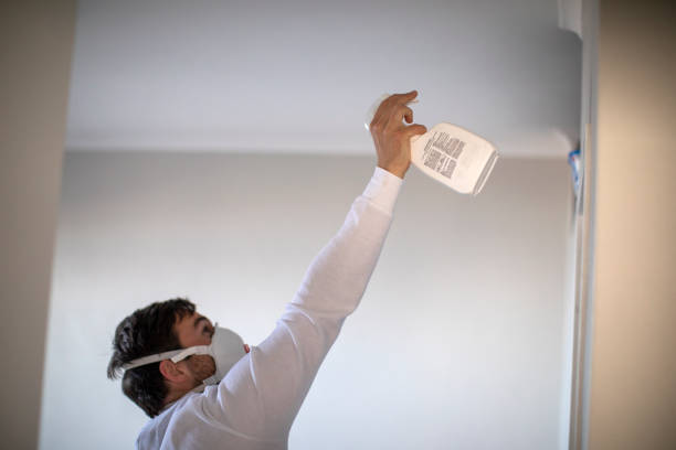 Best Mold Damage Repair  in Bay Shore, NY